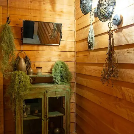 Bed & Breakfast Slapen Bij Dkw Oldebroek