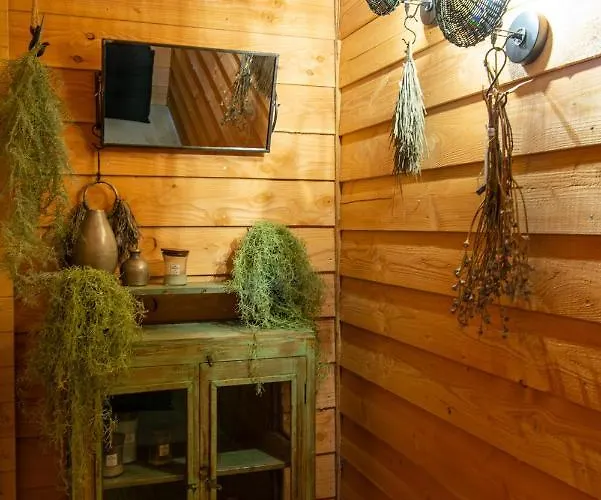 Bed & Breakfast Slapen Bij Dkw Oldebroek